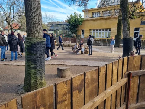 Детский зоопарк