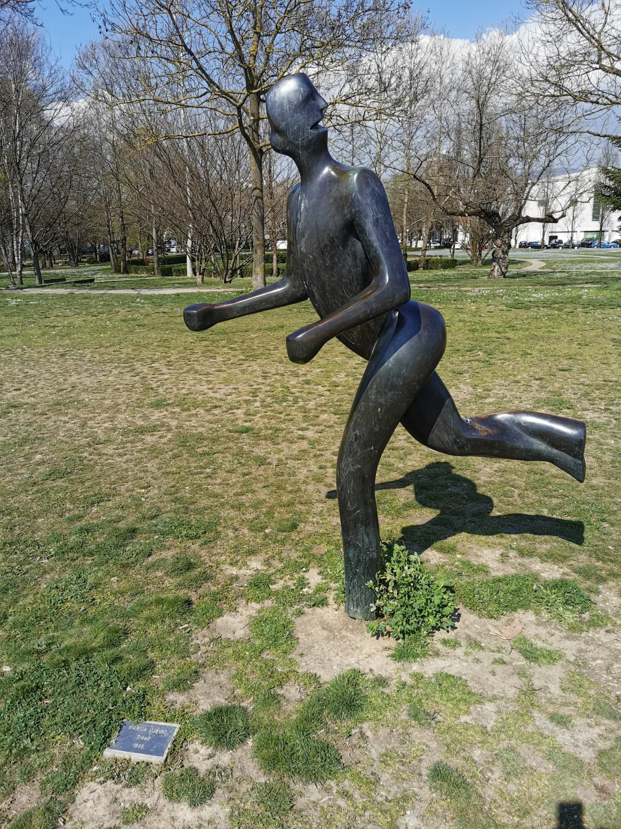 Тркач