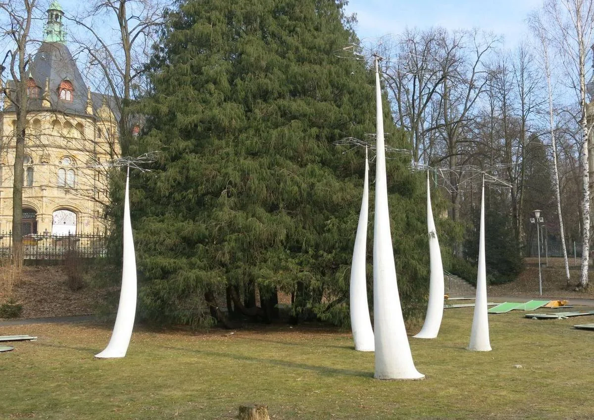 Мотыльки крылья