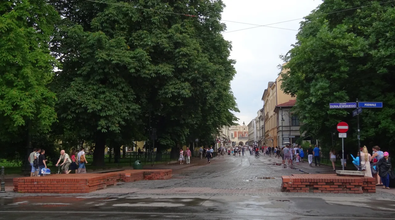 Зарис Брамы Шевской