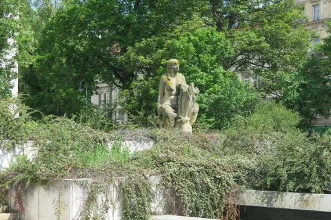 Жена