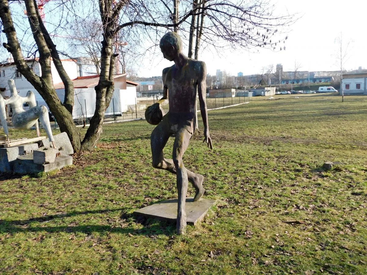 Мичовый волшебник