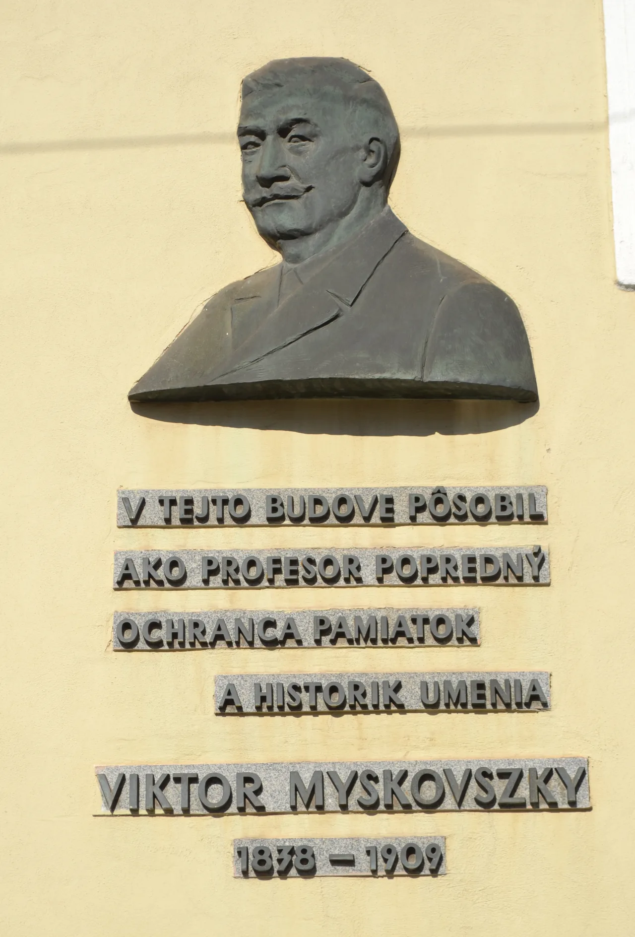 Виктор Мышковски
