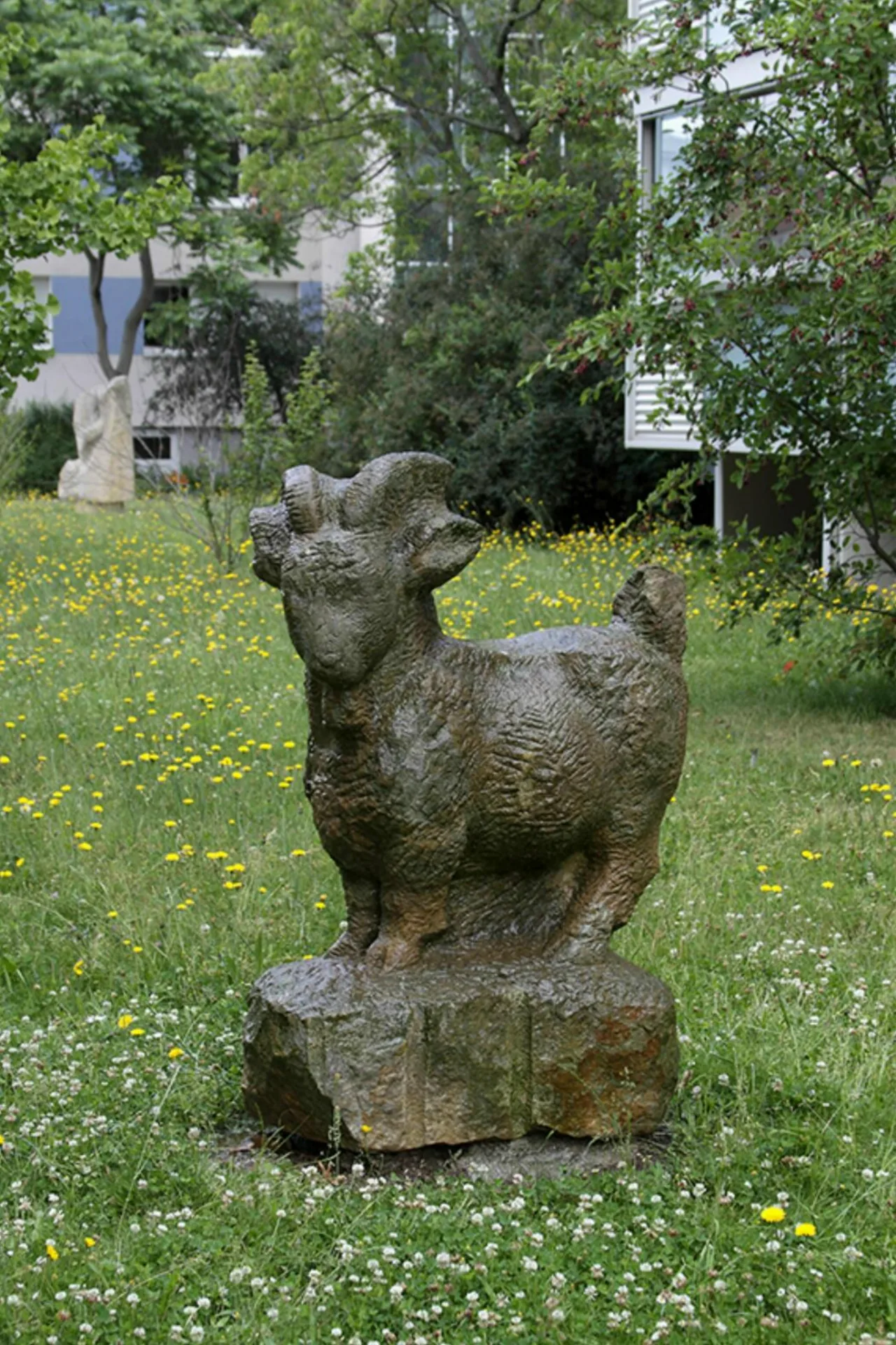 Карликовая коза Эльфи