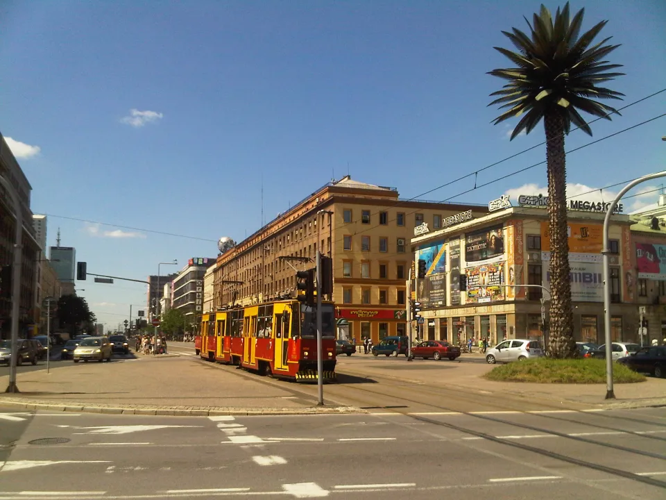 Пальма