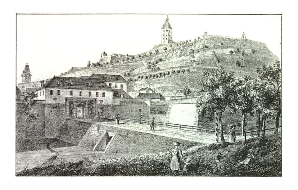 Паулюстор