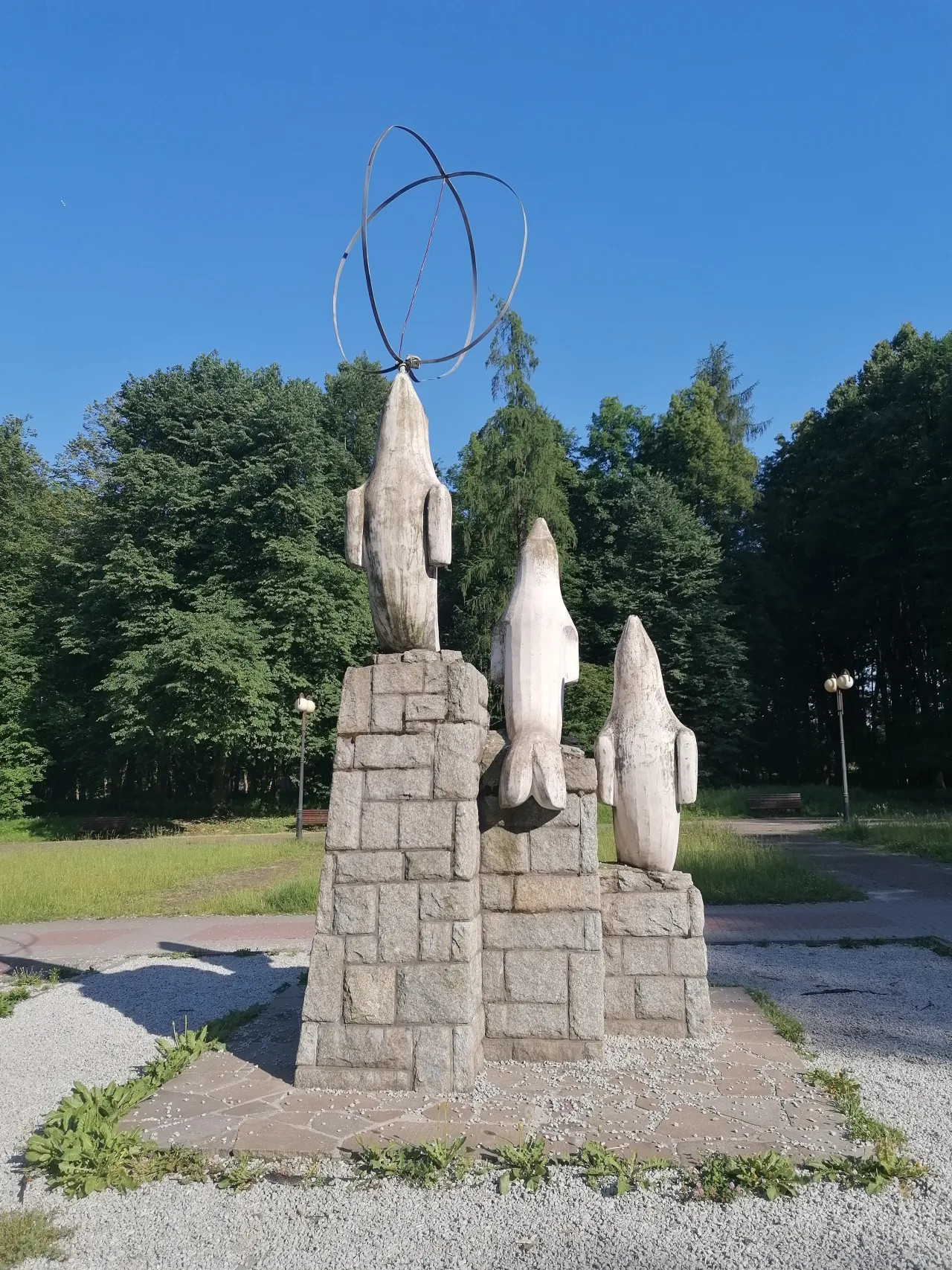 Фоки