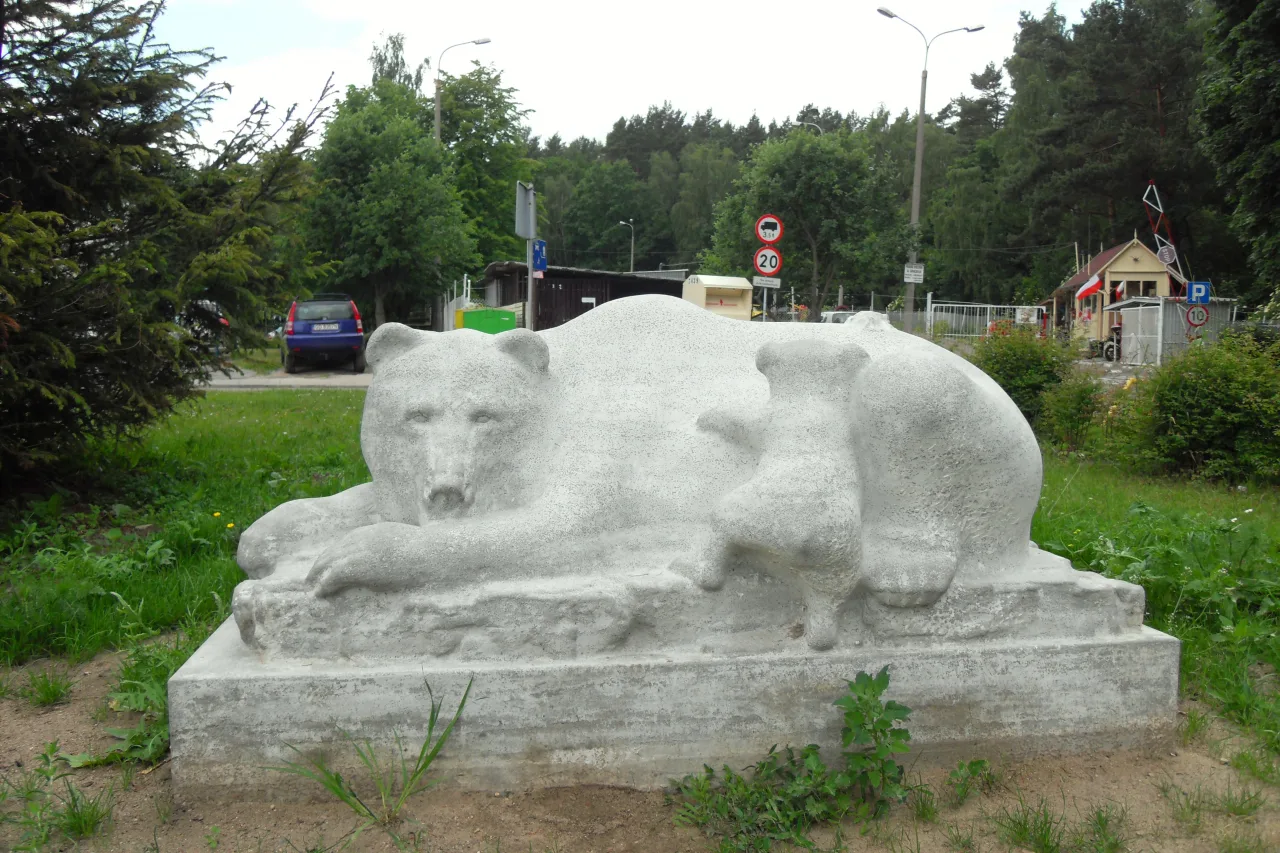Недзвядек