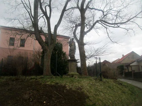 Иммакулатта
