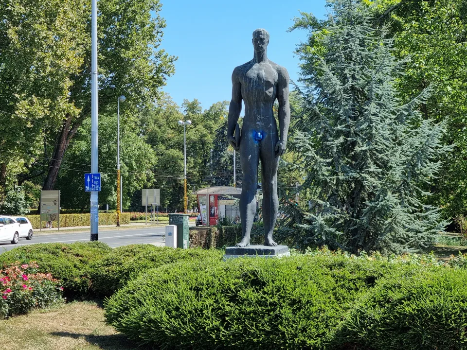 Бацач диска