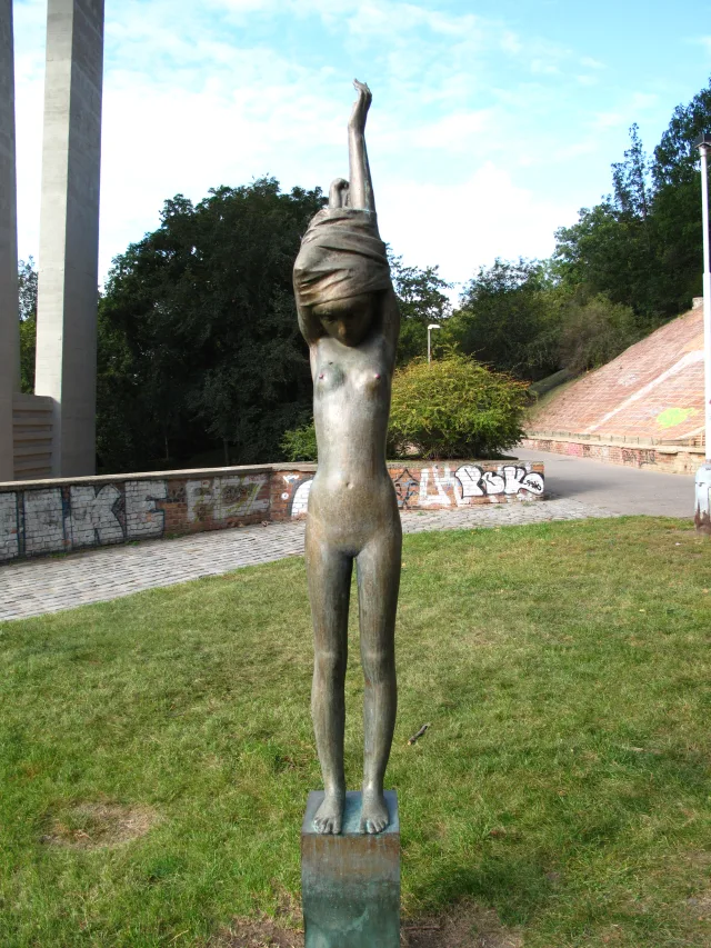 Свлекани